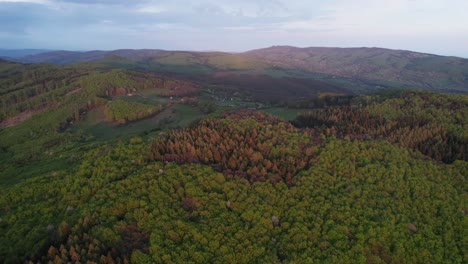 Beautiful-aerial-drone-view-of-forest-landscape-in-Slovakia,-Tatra-forest