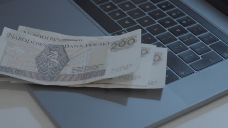 Persona-Contando-Dinero-Polaco-En-Una-Computadora-Portátil