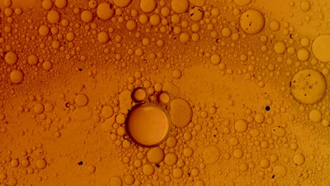Structure-movement-of-colorful-oil-bubbles-in-liquid