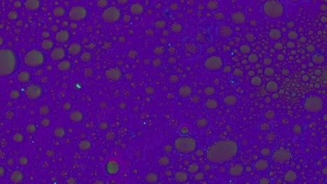 Movimiento-De-La-Estructura-De-Las-Burbujas-De-Aceite-De-Bacterias-Púrpuras-En-Líquido