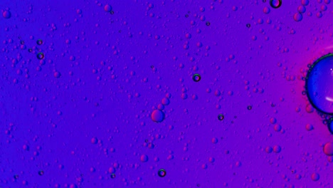 Grandes-Burbujas-De-Aire-Flotan-En-Un-Líquido-Grasiento-Púrpura-Y-Azul