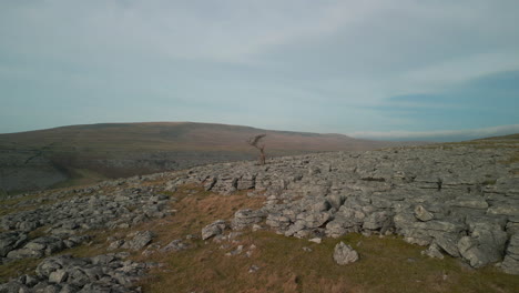 Slow-approach-to-lonely-tree-on-rocky-moorland-in-English-countryside-at-Ingleton-Yorkshire-UK