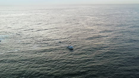 A-New-South-Wales-fisheries-boat-sails-into-Bondi-to-check-the-shark-nets-and-deploy-shark-drum-lines-in-the-early-morning