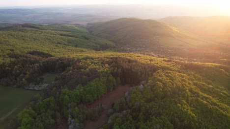 Wonderful-aerial-drone-view-of-outdoor-forest-in-low-Tatras,-Slovakia,-golden-hour