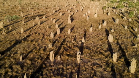 Filmisches-Drohnenvideo-Von-Berühmten-Pinnacles-Im-Australischen-Outback-Während-Der-Goldenen-Stunde-Des-Sonnenuntergangs