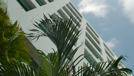 Palmblätter-Vor-Einem-Weißen-Modernen-Gebäude-An-Einem-Sonnigen-Tag