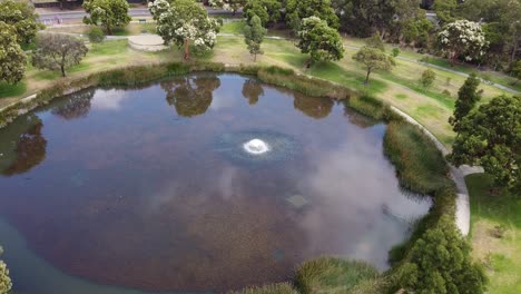 Luftaufnahme-über-Einem-Kreisförmigen-Runden-See-Mit-Springbrunnen-Und-Blühenden-Bäumen,-Perth