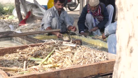 View-Of-Stripped-Sugarcane-On-Board-With-Men-Processing-Gur-Jaggery-In-Background