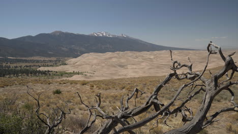 Vista-Panorámica-Del-Gran-Parque-Nacional-De-Dunas-De-Arena-Con-árbol-De-Pinyon-juniper