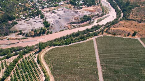 Drone-flyover-famous-Chilean-Vineyards-rows-next-to-Maipo-river,-Chile