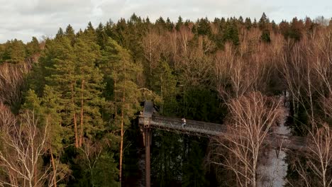 View-of-Anyksciai-Laju-Takas,-Treetop-Walking-Path-Complex-With-a-Walkway,-an-Information-Center-and-Observation-Tower,-Located-in-Anyksciai,-Lithuania-Near-Sventoji-River