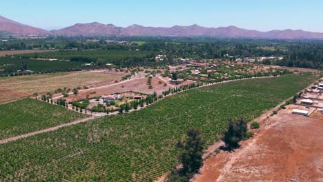 Vineyard-Fields-of-Pirque-Wine-Growing-Region-Chile,-Aerial-Drone-Above-Red-Wine-Industry-Soil,-below-Andean-Cordillera-Mountain-Range