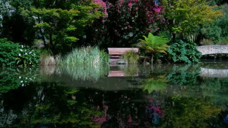 Wunderschöne-Farben,-Die-Sich-An-Einem-Sommertag-Im-Garten-Mit-Ruhigem-Wasser-Widerspiegeln---Christchurch