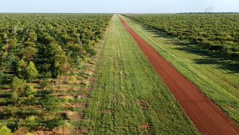 Filmisches-Drohnenvideo,-Grüner,-Riesiger-Landwirtschaftlicher-Betrieb-Im-Outback