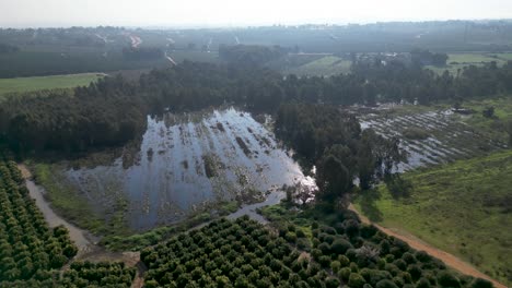 4K-drone-video-of-Rehovot-Winter-Pond--The-Secluded-Life-of-the-Rainy-Season--Rehovot-Israel