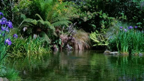 Sprudelndes-Wasser-Erzeugt-Konzentrische-Ringe-Und-Reflektiert-Tiefgrüne-Farben-Im-Wunderschönen-Wassergarten-–-Christchurch