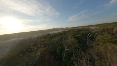 Aerial-fpv-racing-drone-flying-over-forest-close-to-beach-with-ocean-in-background,-Soustons-in-Landes-department,-Nouvelle-Aquitaine-in-France