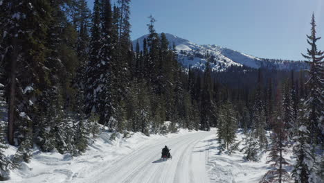 Snowmobile-drives-slowly-through-beautiful-winter-forest-with-mountains