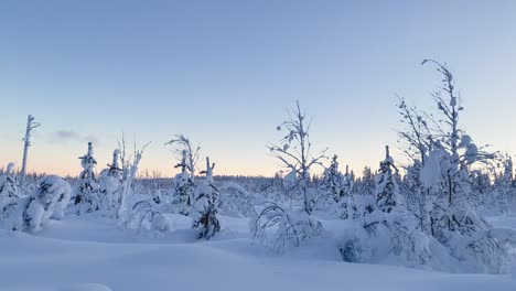 View-from-the-sled-to-the-snowy-landscape-of-the-Lapland-forest