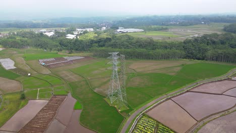 Orbit-drone-shot-of-high-voltage-electricity-tower-on-the-middle-of-rice-field