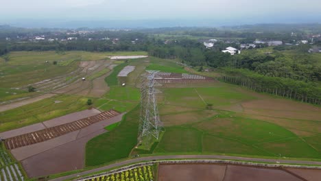 Bird-eye-drone-shot-of-high-voltage-electricity-tower-on-the-middle-of-rice-field---Asia