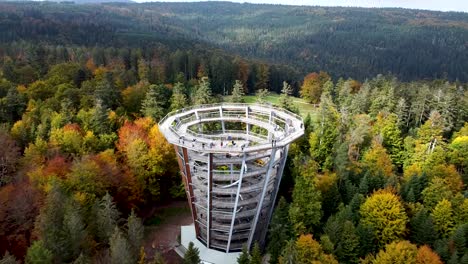 Aerial-zoom-out-of-a-forest-viewpoint-in-Schwarzwald,-Baumwipfelpfad,-Germany