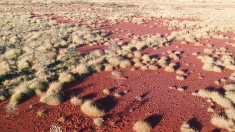 Filmisches-Drohnenvideo-Von-Büschen-Und-Pflanzen-Auf-Der-Outback-Straße-Im-Roten-Sand-Mit-Staub-Am-Australischen-Horizont