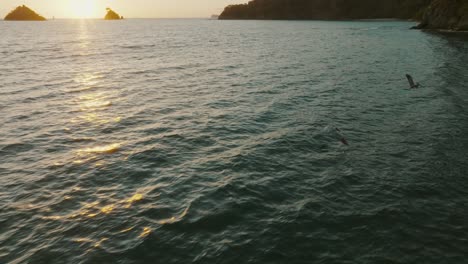 Gruppe-Von-Pelikanvögeln-über-Sonnenuntergangstrand-In-Costa-Rica-Nahe-Guanacaste