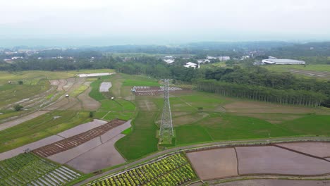 Drone-shot-of-electricity-tower-on-the-middle-of-plantation-in-cloudy-sky