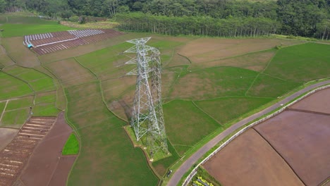 Flyover-rice-field-with-high-voltage-electricity-tower-on-the-middle-of-it---Orbit-drone-shot