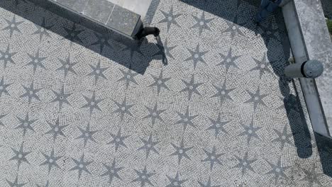 Luftaufnahme-Eines-Charmanten-Hundes,-Der-Durch-Die-Straßen-Von-Alfama-Und-Historischem-Kopfsteinpflaster-In-Lissabon,-Portugal,-Streift