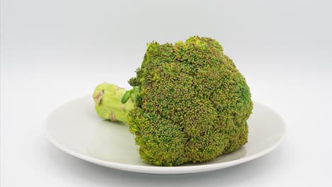 Rotting-broccoli-time-lapse.-40-days-in-25-seconds