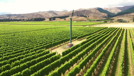 Old-water-pump-in-green-vibrant-wine-fields-of-New-Zealand,-aerial-orbit-view
