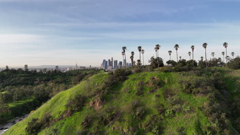 Invierno-Verde-En-Los-Angeles