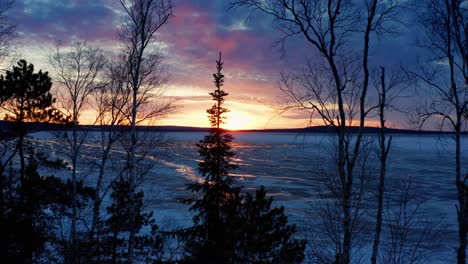 Aerial,-dramatic-sunset-at-frozen-lake-during-winter,-flying-through-pine-trees