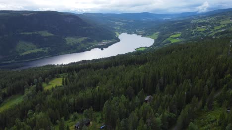Dynamische-Luftaufnahme-Eines-Atemberaubenden-Norwegischen-Fjords-Mit-Wald-Im-Vordergrund