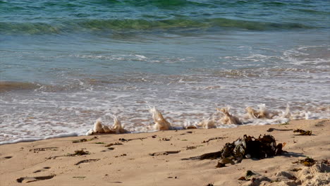 Wellen-Plätschern-über-Den-Sand-Am-Bondi-Beach,-Sydney,-Australien