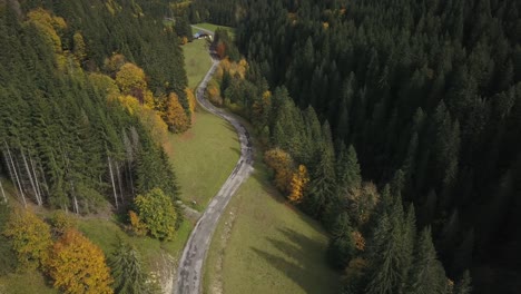 Rural-road-crossing-coniferous-forest-in-Haute-Savoie,-France