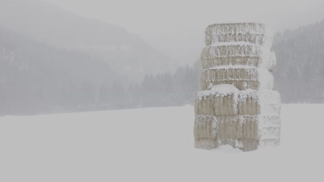 Hay-Stacks-in-a-Snow-Blizzard