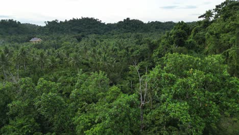 Langsam-Bewegte-Luftaufnahme-Einer-üppigen-Waldlandschaft-Mit-Einem-Haus-Im-Hintergrund-Auf-Den-Philippinen