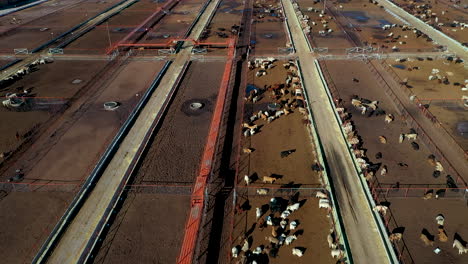 Luftaufnahmen-Von-Der-Viehzucht-In-Den-Grenzgebieten-Von-Texas-Chihuahua