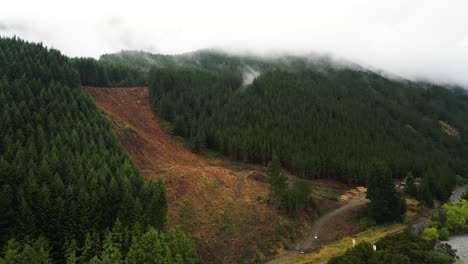 Terreno-De-Deforestación-En-Nueva-Zelanda,-área-De-Nelson,-Vista-De-órbita-Aérea