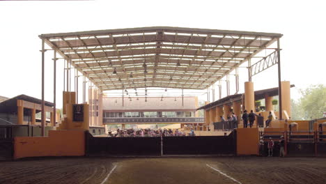 Traditionelle-Mexikanische-Leinwand-Charro-Pferde-Arena