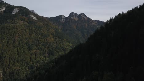 Mountain-and-coniferous-forest-in-Haute-Savoie-during-summer-season,-France