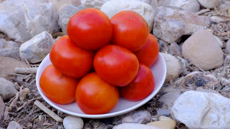 Stack-of-large,-red-and-ripe-tomatoes-on-plate-in-natural-outdoors-rocky-environment,-ingredients-for-preparing-healthy-lunch-during-hike