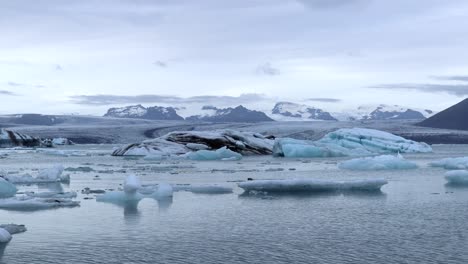 Seal-Swimming-in-between-Ice-Rocks-of-Jökulsárlón-Glacier-in-Iceland-Pan,-4K