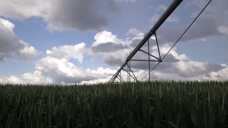 Pivot-Bewässerungssystem-In-Einem-Maisfeld