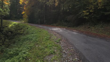 Blick-Aus-Der-Ersten-Person-Bei-Einem-Spaziergang-Entlang-Einer-Schattigen-Straße-Im-Wald-Mit-Sonnenstrahlen-Durch-Bäume,-Haute-Savoie-In-Frankreich