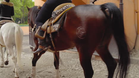 Traditionelle-Mexikanische-Charro-Pferdeparade