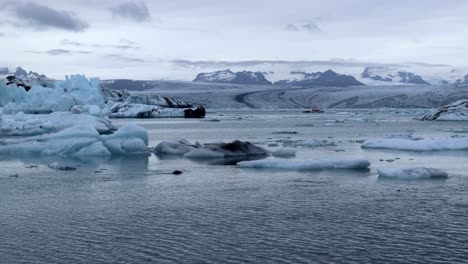 Foca-Nadando-En-Agua-Entre-Rocas-De-Hielo-Del-Glaciar-Jökulsárlón-En-Islandia-Pan,-4k